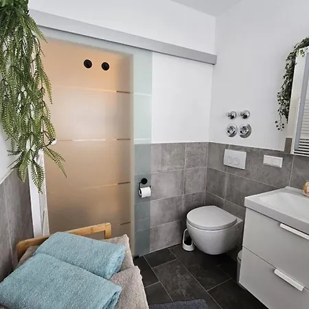 Im Schwarzwald Apartment